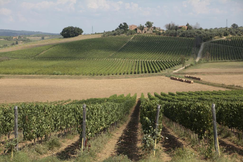 Agriturismo Spazzavento Vinci Bagian luar foto